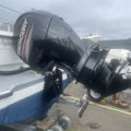 Extra picture for advert 134320