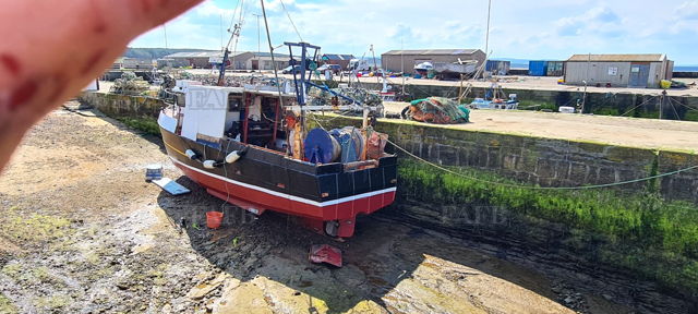 Large picture for advert 144321