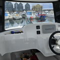 Thumbnail for picture 7