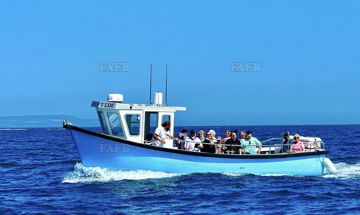 Main picture for advert 148323