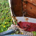 Extra picture for advert 147324