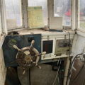 Thumbnail for picture 5