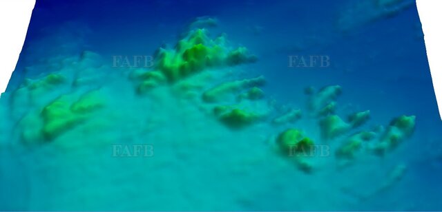 Large picture for advert 121329