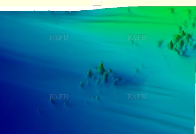 Large picture for advert 121329