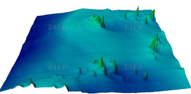 Large picture for advert 121329