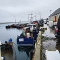 Extra picture for advert 146033