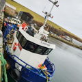 Extra picture for advert 146033