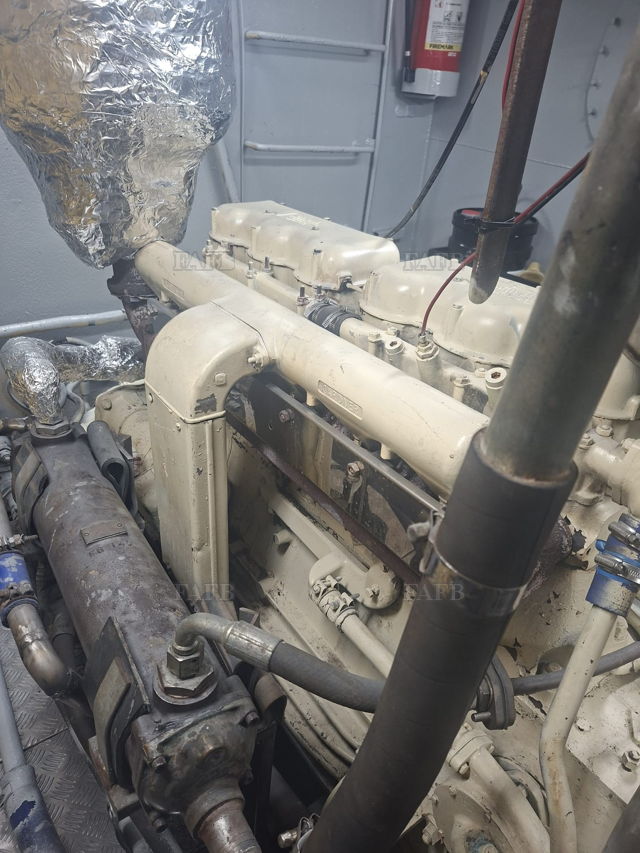 Large picture for advert 144331