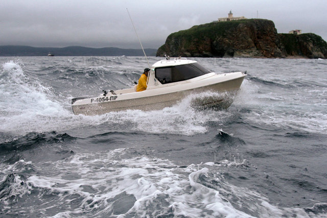 Large picture for advert 109332