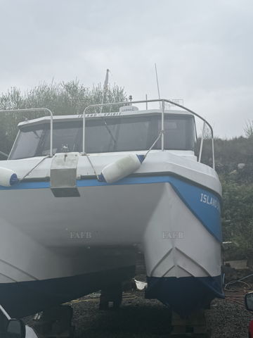 Storm cat 950