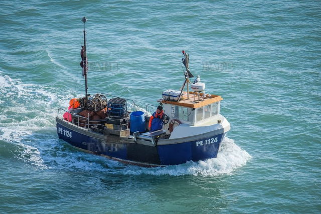 Large picture for advert 144337