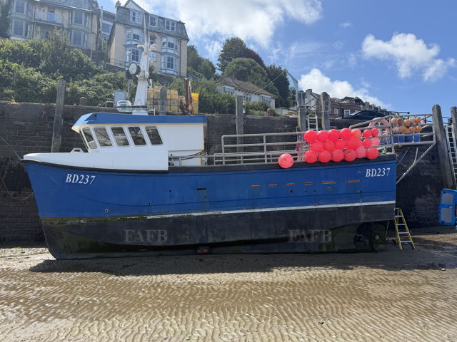 Large picture for advert 148337
