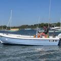Extra picture for advert 148338