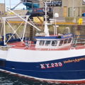 Extra picture for advert 148034