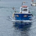 Extra picture for advert 148340