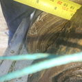 Thumbnail for picture 4