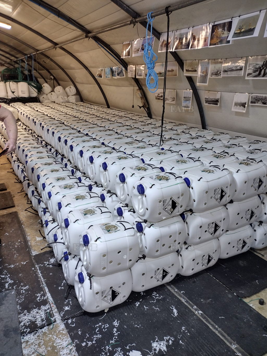 shields creels whelk pots