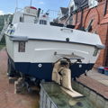 Extra picture for advert 142342