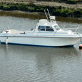 Extra picture for advert 142342