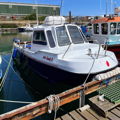 Extra picture for advert 147342