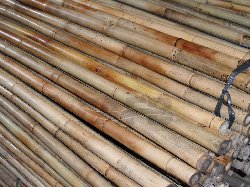DAHN POLES