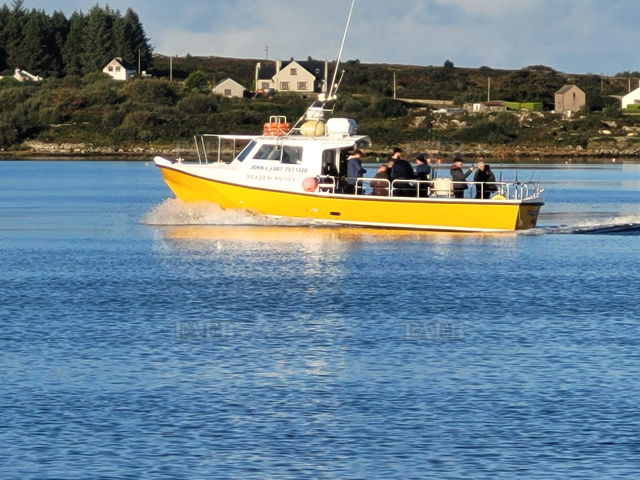 Large picture for advert 146344