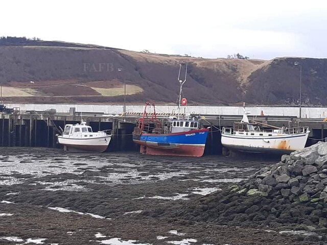 Large picture for advert 121344