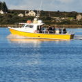 Extra picture for advert 146344