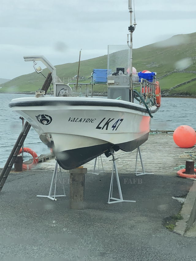 Large picture for advert 143347