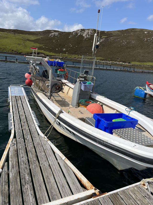 Large picture for advert 143347