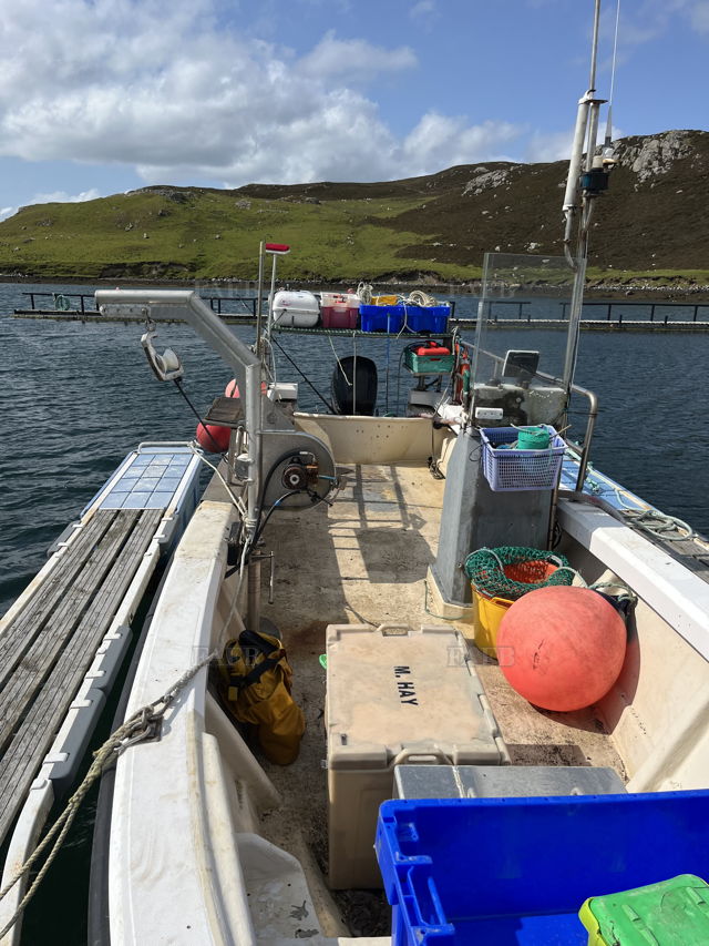 Large picture for advert 143347