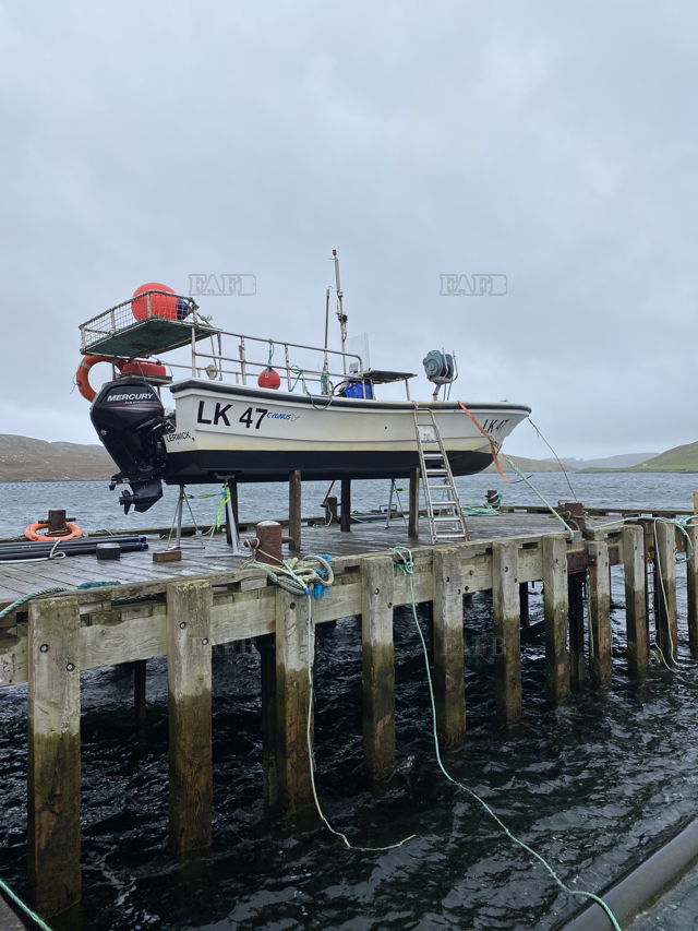 Large picture for advert 143347