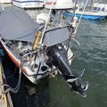 Extra picture for advert 148347