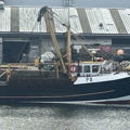 Extra picture for advert 146349