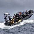Rib charter/ adventure trip business - picture 2