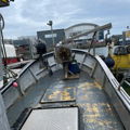 Thumbnail for picture 5