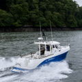 Extra picture for advert 147035