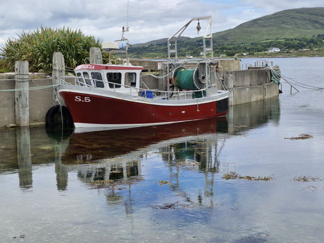 Large picture for advert 143350