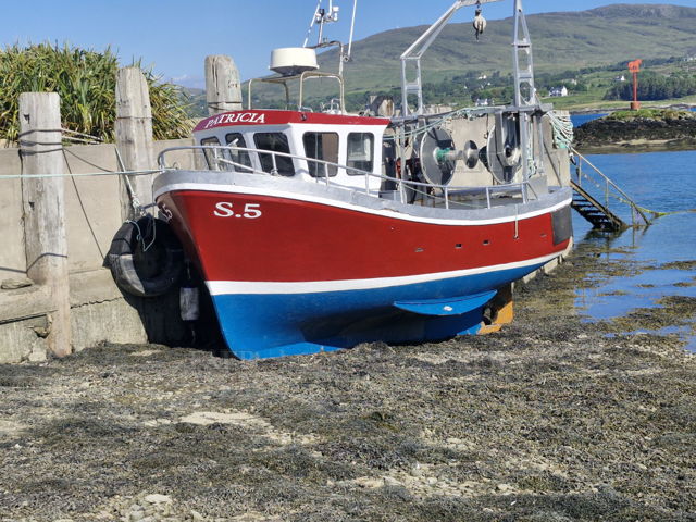 Large picture for advert 143350