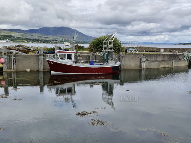 Large picture for advert 143350