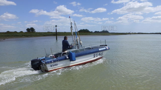 Large picture for advert 147357
