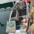 Extra picture for advert 148357