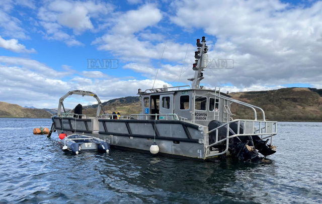 Large picture for advert 88358