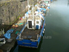 PRICE REDUCED fishing boat - wakil 11 - ID:121358