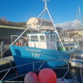 Extra picture for advert 147358