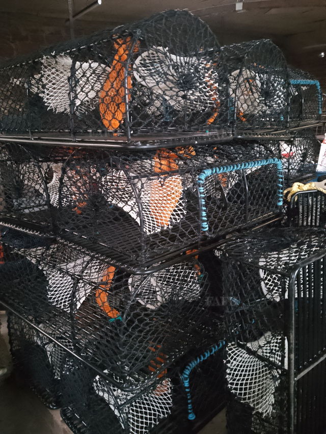 Large picture for advert 142036