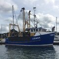 Scalloper/trawler 11.4m overall length, 9.9m reg length - picture 12