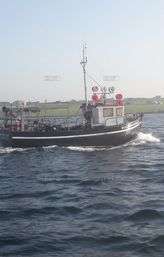 Large picture for advert 137361