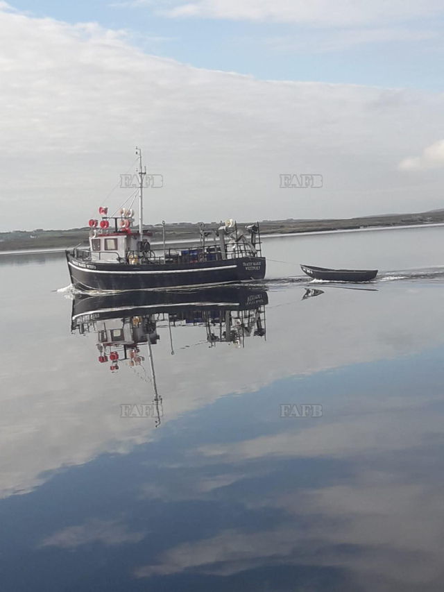 Large picture for advert 137361