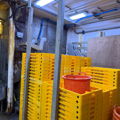 Extra picture for advert 148362